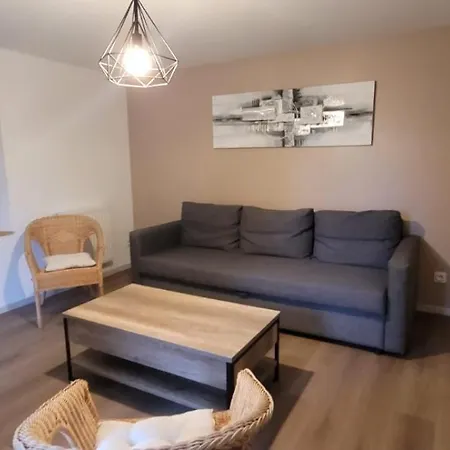 Holiday home Du Grand Sapin Bleu Cirey-sur-Vezouze