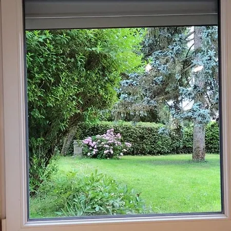 Du Grand Sapin Bleu * Cirey-sur-Vezouze