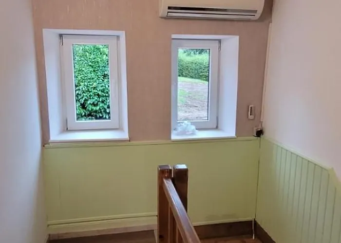 Du Grand Sapin Bleu * Cirey-sur-Vezouze